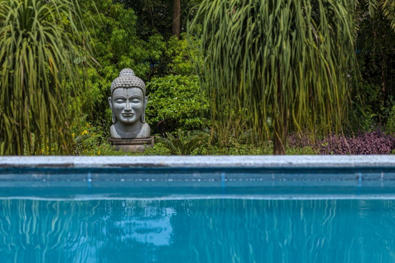 Saffronstays Aura, Alibaug - Luxury Pool Villa With A Game Room And Spacious Lawn Alībāg Exteriér fotografie